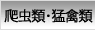 爬虫類・猛禽類