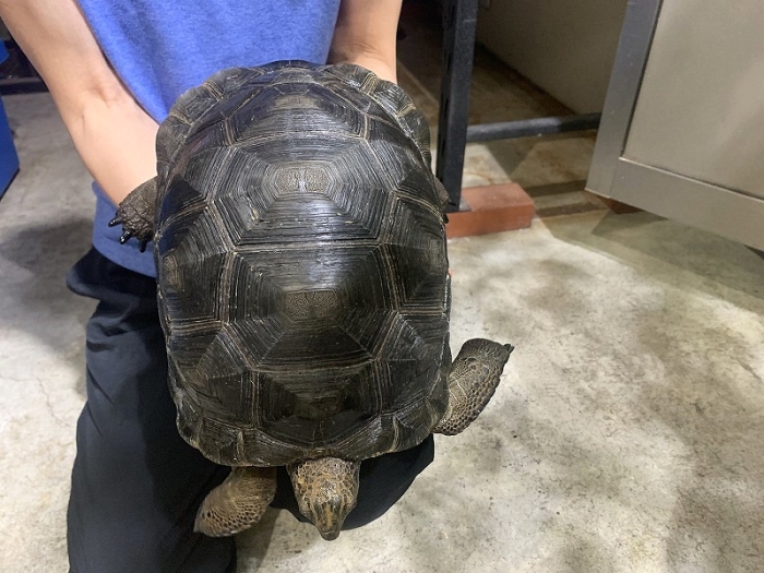 BIGIN ワールドフィッシュ ビッグイン