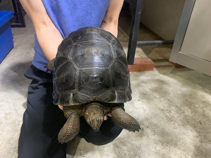 BIGIN ワールドフィッシュ ビッグイン