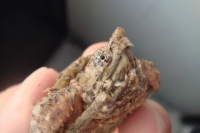 クリックで拡大画像表示