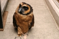 クリックで拡大画像表示