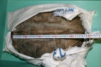 クリックで拡大画像表示