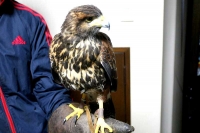 クリックで拡大画像表示