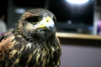 クリックで拡大画像表示