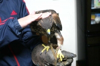 クリックで拡大画像表示