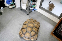 クリックで拡大画像表示