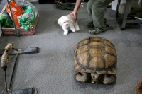 クリックで拡大画像表示