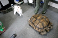 クリックで拡大画像表示