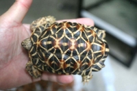 クリックで拡大画像表示