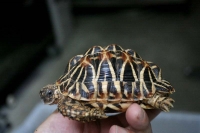 クリックで拡大画像表示