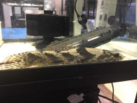 クリックで拡大画像表示