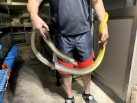 クリックで拡大画像表示