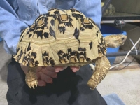 クリックで拡大画像表示