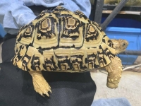 クリックで拡大画像表示