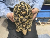 クリックで拡大画像表示