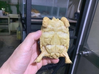 クリックで拡大画像表示