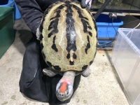 クリックで拡大画像表示