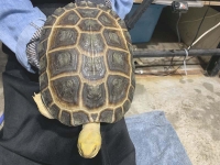 クリックで拡大画像表示