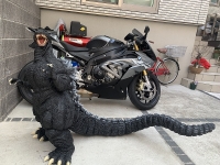 クリックで拡大画像表示