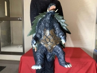 クリックで拡大画像表示