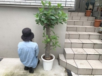 クリックで拡大画像表示