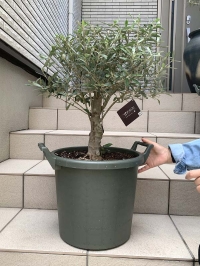 クリックで拡大画像表示