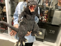 クリックで拡大画像表示