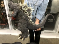 クリックで拡大画像表示