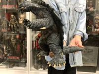 クリックで拡大画像表示