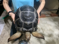 クリックで拡大画像表示