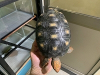 クリックで拡大画像表示