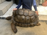 クリックで拡大画像表示