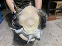 クリックで拡大画像表示