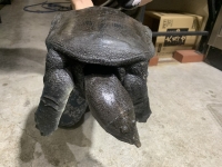クリックで拡大画像表示
