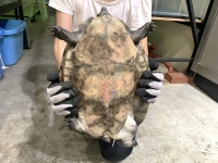 クリックで拡大画像表示