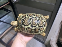 クリックで拡大画像表示