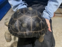 クリックで拡大画像表示