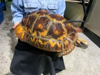 クリックで拡大画像表示