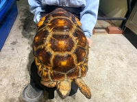 クリックで拡大画像表示