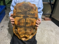 クリックで拡大画像表示