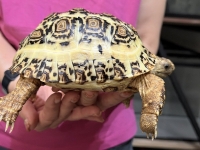 クリックで拡大画像表示