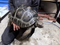 クリックで拡大画像表示