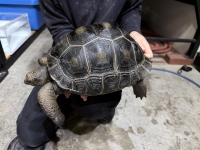 クリックで拡大画像表示