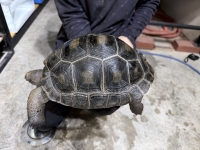 クリックで拡大画像表示