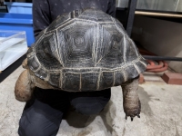 クリックで拡大画像表示