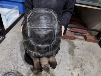 クリックで拡大画像表示