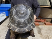 クリックで拡大画像表示