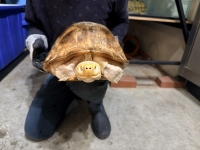 クリックで拡大画像表示