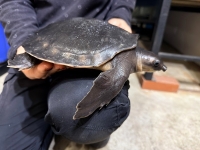 クリックで拡大画像表示