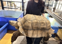 クリックで拡大画像表示